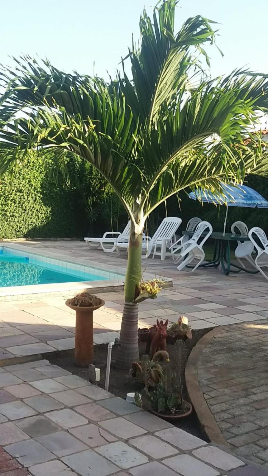 Inn Dos Cajueiros Paripueira